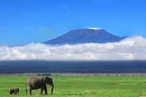 serengeti national park in africa